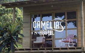 Camelia Hostel
